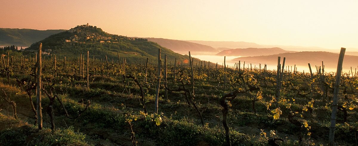 Motovun im Herbst